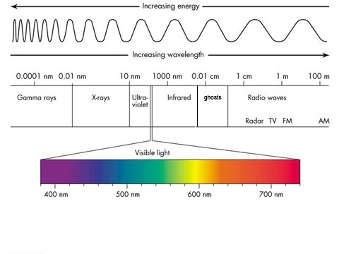 Ghosts on EMF scale